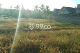 Lahan Kosong Dijual di Mengwi, Badung, Luas 1100m2 Area Strategis Lahan Kosong Dijual di Mengwi, Badung, Luas 1100m2 Area Strategis