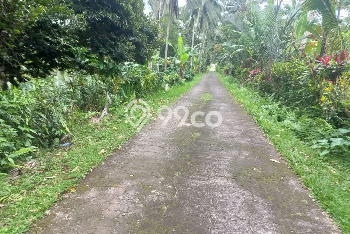 Dijual Tanah Lokasi Dalang, Tabanan Seluas 9490m2 Dijual Tanah Lokasi Dalang, Tabanan Seluas 9490m2