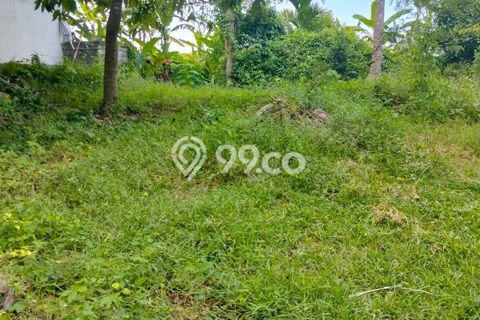 Dijual Tanah Lokasi Klecung, Tabanan Seluas 1880m2 Dijual Tanah Lokasi Klecung, Tabanan Seluas 1880m2