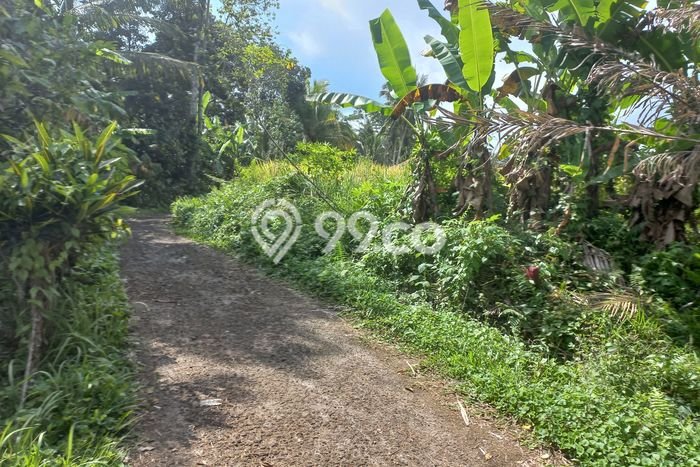 Kavling Tanah untuk Dijual di Dalang, Tabanan, Luas 2100m2 Kavling Tanah untuk Dijual di Dalang, Tabanan, Luas 2100m2