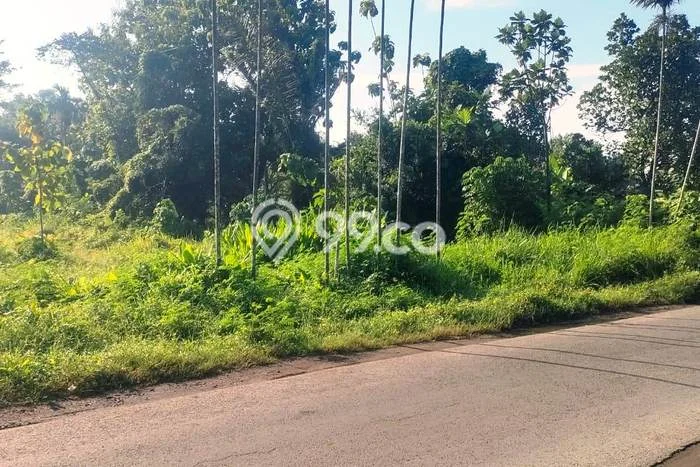 Tanah Lokasi Strategis Kawasan Diwek, Luas 6850m2m², Kawasan Nyaman, Akses Diwek, Jombang, Jombang Tanah Lokasi Strategis Kawasan Diwek, Luas 6850m2m², Kawasan Nyaman, Akses Diwek, Jombang, Jombang