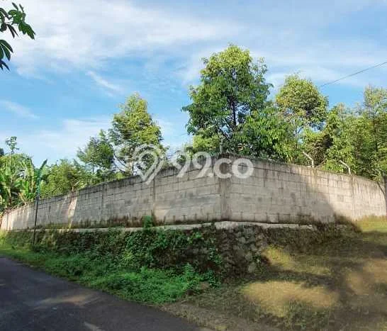 Tanah Kawasan Bisnis di Purwodadi, Luas 2291m2m², Ideal untuk Bisnis Tanah Kawasan Bisnis di Purwodadi, Luas 2291m2m², Ideal untuk Bisnis