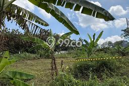 Dijual Tanah 295m2 di Jangli, Semarang Dijual Tanah 295m2 di Jangli, Semarang