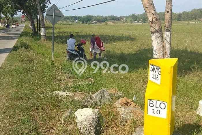Lahan untuk Dijual di Ngawen Blora Luas 6105m2 Lahan untuk Dijual di Ngawen Blora Luas 6105m2