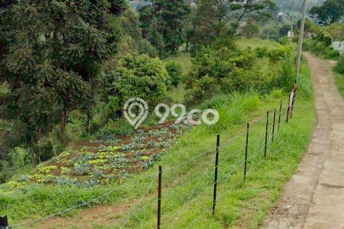 Jarang Ada! Tanah di Lembang Punya Luas 3486m2 SHM Jarang Ada! Tanah di Lembang Punya Luas 3486m2 SHM