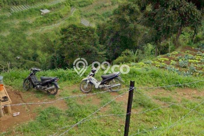 Jarang Ada! Tanah di Lembang Punya Luas 3486m2 SHM Jarang Ada! Tanah di Lembang Punya Luas 3486m2 SHM