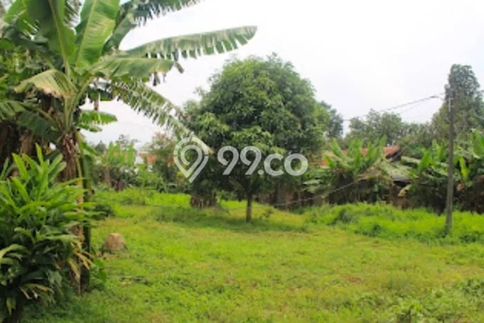 Tanah Kavling untuk Dijual di Ciranjang Cianjur 1666m2 Tanah Kavling untuk Dijual di Ciranjang Cianjur 1666m2