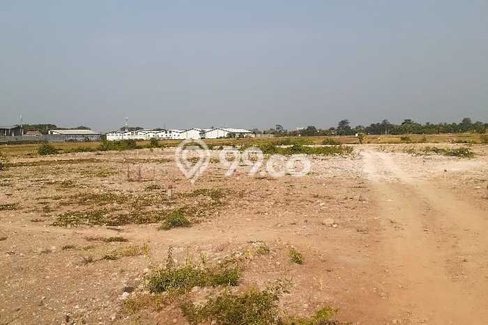 Tanah Kavling untuk Dijual di Batang Batang 16500m2 Tanah Kavling untuk Dijual di Batang Batang 16500m2