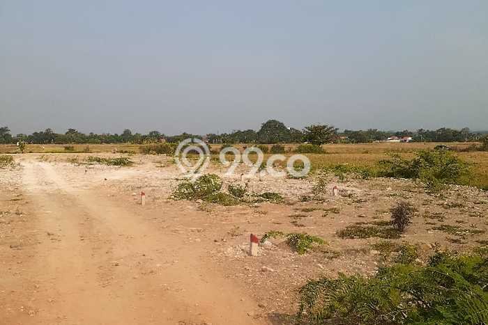 Tanah Kavling untuk Dijual di Batang Batang 16500m2 Tanah Kavling untuk Dijual di Batang Batang 16500m2