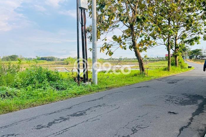 Kavling Tanah di Tasikmadu Dijual Luas 1595m2 Legalitas SHM Kavling Tanah di Tasikmadu Dijual Luas 1595m2 Legalitas SHM