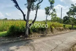 Tanah Komersial Kawasan Sragen, Luas 8001m2m², Akses Mudah Tanah Komersial Kawasan Sragen, Luas 8001m2m², Akses Mudah