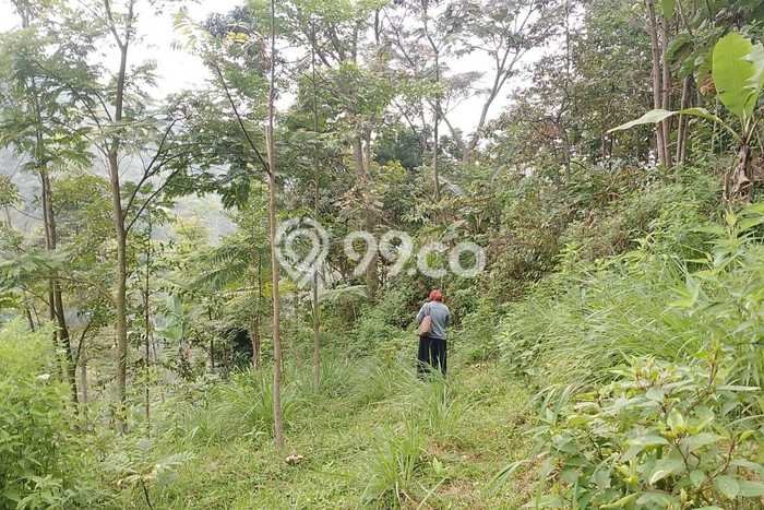 Tanah di Karanganyar, Karanganyar Luas 1040m2 Dijual Segera Tanah di Karanganyar, Karanganyar Luas 1040m2 Dijual Segera