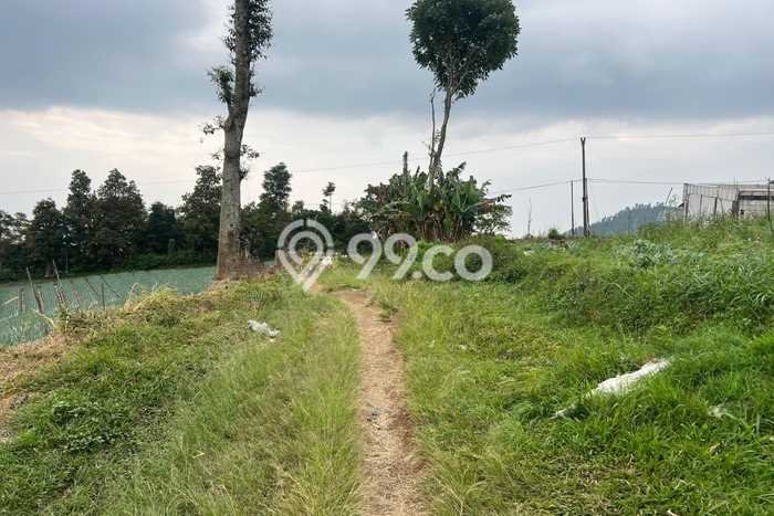 Tanah di Ngargoyoso, Luas 800m², Lokasi Strategis, Lingkungan Nyaman Tanah di Ngargoyoso, Luas 800m², Lokasi Strategis, Lingkungan Nyaman
