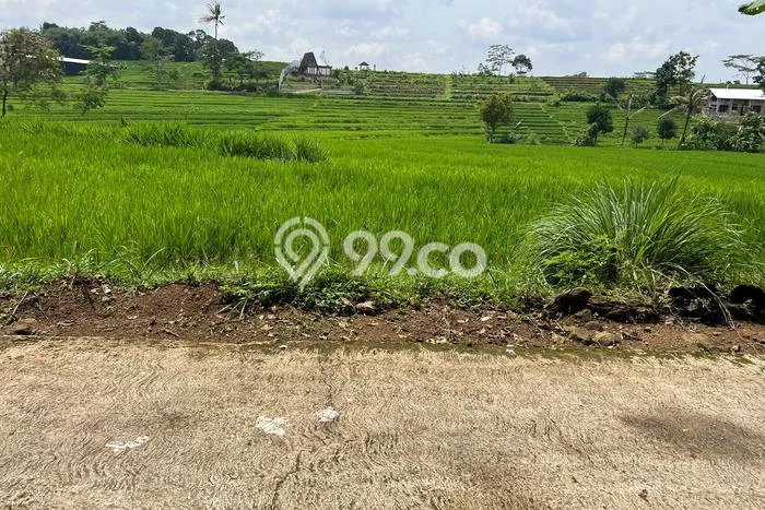 Tanah Dijual Lokasi Karangpandan, Karanganyar dengan Luas Tanah 1670m2 dan Status SHM Tanah Dijual Lokasi Karangpandan, Karanganyar dengan Luas Tanah 1670m2 dan Status SHM