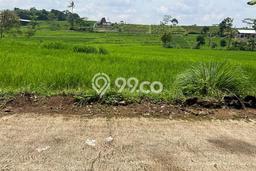 Tanah Dijual Lokasi Karangpandan, Karanganyar dengan Luas Tanah 1670m2 dan Status SHM Tanah Dijual Lokasi Karangpandan, Karanganyar dengan Luas Tanah 1670m2 dan Status SHM