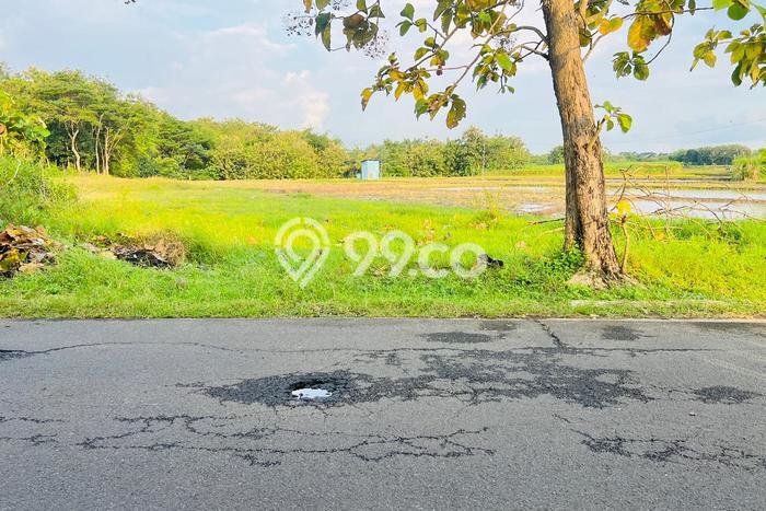 Kavling Tanah di Tasikmadu Dijual Luas 1595m2 Legalitas SHM Kavling Tanah di Tasikmadu Dijual Luas 1595m2 Legalitas SHM