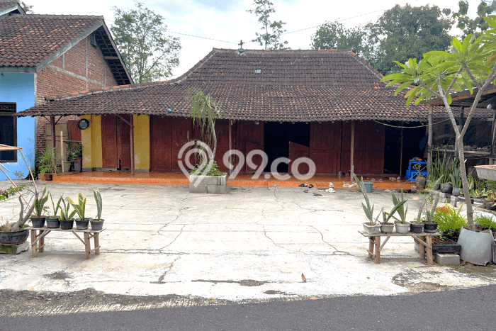 Jual Rumah Favorit Siap Huni LB 200m2 di Kedawung, Sragen Jual Rumah Favorit Siap Huni LB 200m2 di Kedawung, Sragen