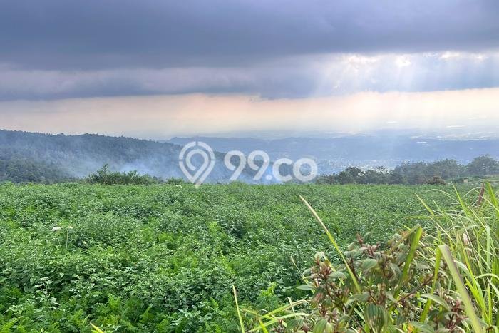 Tanah Premium Kawasan Ngargoyoso, Luas 650m², Ideal untuk Investasi Tanah Premium Kawasan Ngargoyoso, Luas 650m², Ideal untuk Investasi