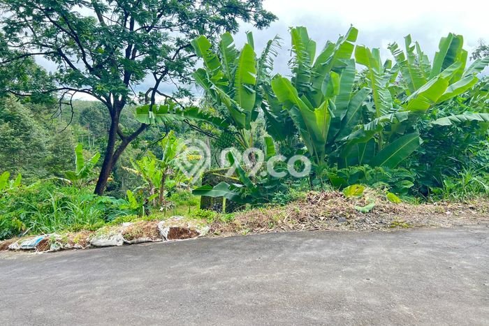 Kavling Tanah Dijual di Ngargoyoso Karanganyar Spesifikasi 2000m2 Kavling Tanah Dijual di Ngargoyoso Karanganyar Spesifikasi 2000m2