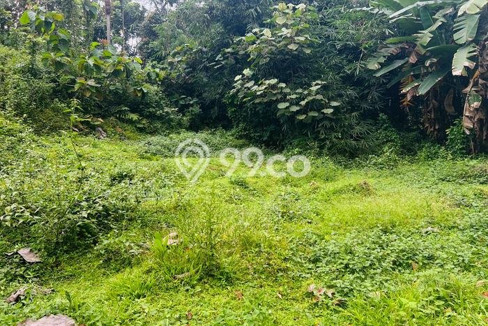 Tanah Strategis Dijual di Mojogedang Karanganyar 1723m2 Tanah Strategis Dijual di Mojogedang Karanganyar 1723m2