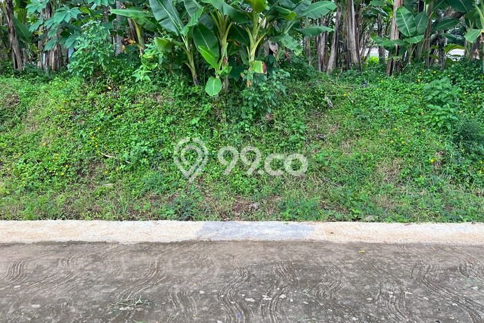 PRIME LOCATION! Tanah di Mojogedang, Luas 1200m², Ideal untuk Investasi PRIME LOCATION! Tanah di Mojogedang, Luas 1200m², Ideal untuk Investasi