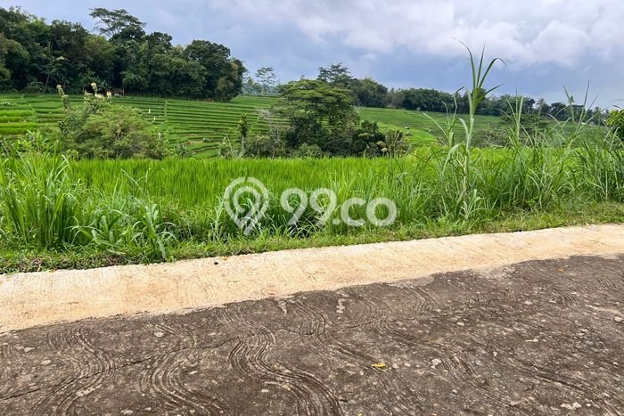 PRIME LOCATION! Tanah di Mojogedang, Luas 1200m², Ideal untuk Investasi PRIME LOCATION! Tanah di Mojogedang, Luas 1200m², Ideal untuk Investasi