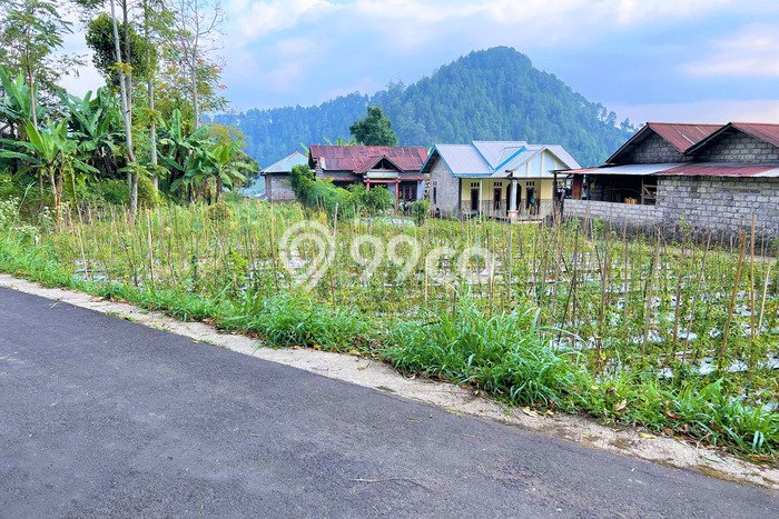 Jarang Ada! Tanah di Ngargoyoso Punya Luas 505m2 SHM Jarang Ada! Tanah di Ngargoyoso Punya Luas 505m2 SHM