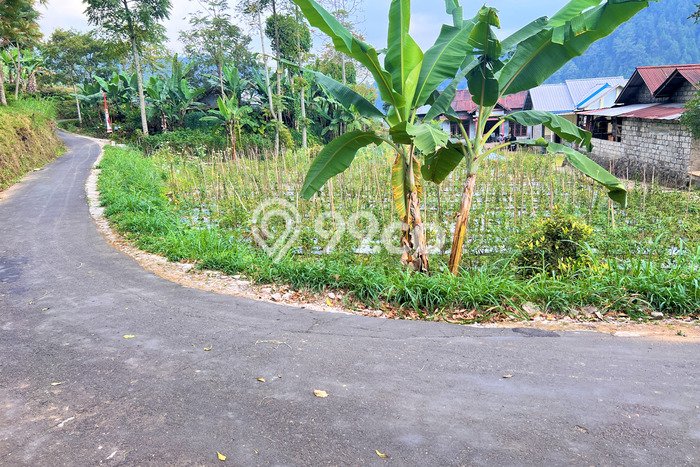 Jarang Ada! Tanah di Ngargoyoso Punya Luas 505m2 SHM Jarang Ada! Tanah di Ngargoyoso Punya Luas 505m2 SHM