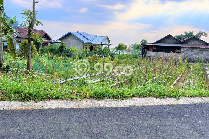 Jarang Ada! Tanah di Ngargoyoso Punya Luas 505m2 SHM Jarang Ada! Tanah di Ngargoyoso Punya Luas 505m2 SHM