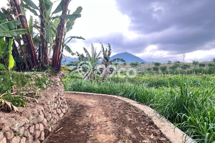 Lahan Dijual Lokasi Ngargoyoso, Karanganyar dengan Luas Tanah 680m2 dan Status SHM Lahan Dijual Lokasi Ngargoyoso, Karanganyar dengan Luas Tanah 680m2 dan Status SHM