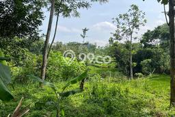 Lahan Kosong Dijual di Mojogedang, Karanganyar, Luas 500m2 Area Strategis Lahan Kosong Dijual di Mojogedang, Karanganyar, Luas 500m2 Area Strategis