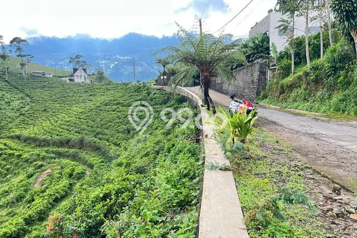 Tanah Kavling untuk Dijual di Ngargoyoso Karanganyar 300m2 Tanah Kavling untuk Dijual di Ngargoyoso Karanganyar 300m2
