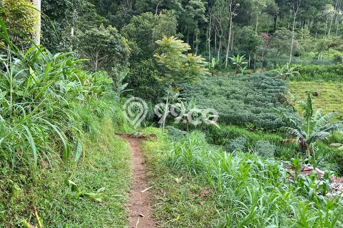 Tanah Dijual Lokasi Jenawi, Karanganyar dengan Luas Tanah 2243m2 dan Status SHM Tanah Dijual Lokasi Jenawi, Karanganyar dengan Luas Tanah 2243m2 dan Status SHM