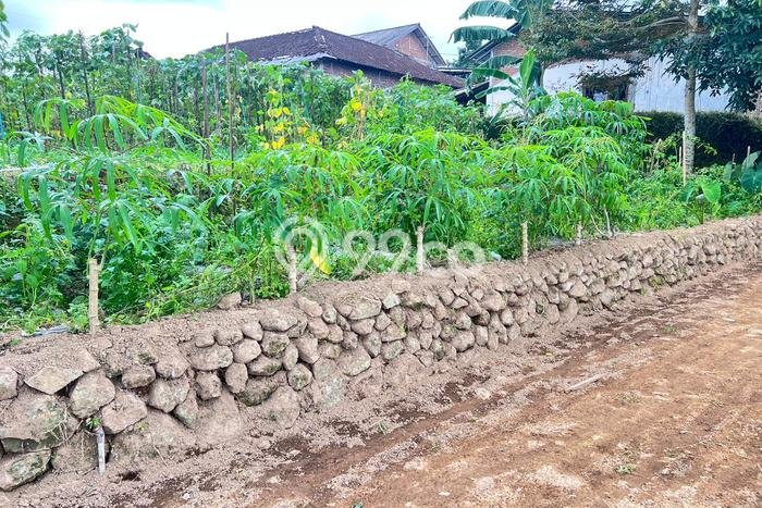 Lahan Dijual Lokasi Ngargoyoso, Karanganyar dengan Luas Tanah 680m2 dan Status SHM Lahan Dijual Lokasi Ngargoyoso, Karanganyar dengan Luas Tanah 680m2 dan Status SHM