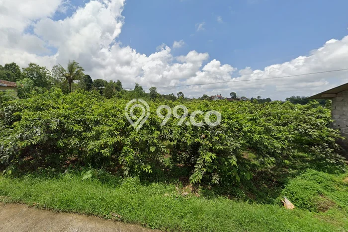 Tanah Area Potensial Kawasan Ngargoyoso, Luas 430m2m², Lingkungan Asri, Akses Ngargoyoso, Karanganyar, Karanganyar Tanah Area Potensial Kawasan Ngargoyoso, Luas 430m2m², Lingkungan Asri, Akses Ngargoyoso, Karanganyar, Karanganyar