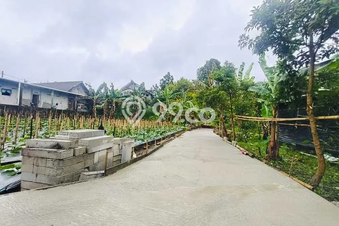 Tanah untuk Dijual di Tawangmangu Karanganyar Luas 556m2 Tanah untuk Dijual di Tawangmangu Karanganyar Luas 556m2