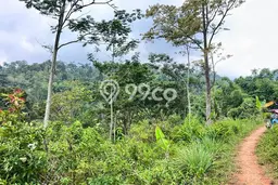 Dijual Tanah di Karanganyar, Luas 10000m2m², Dekat Karanganyar, Solo, Solo Dijual Tanah di Karanganyar, Luas 10000m2m², Dekat Karanganyar, Solo, Solo