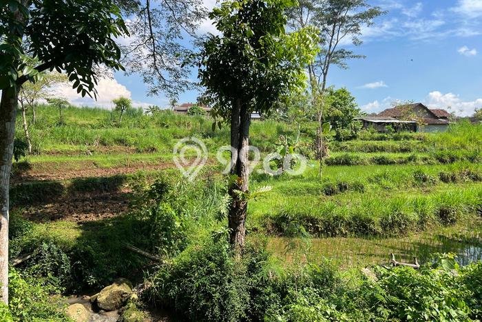 Lahan Dijual Lokasi Mojogedang, Karanganyar dengan Luas Tanah 1646m2 dan Status SHM Lahan Dijual Lokasi Mojogedang, Karanganyar dengan Luas Tanah 1646m2 dan Status SHM
