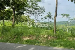 Tanah Dijual Lokasi Sambirejo, Sragen dengan Luas Tanah 2622m2 dan Status SHM Tanah Dijual Lokasi Sambirejo, Sragen dengan Luas Tanah 2622m2 dan Status SHM