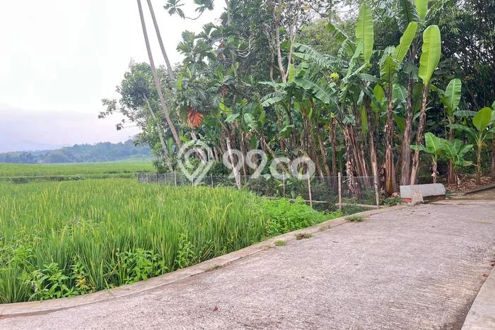 Kavling Tanah Dijual di Mojogedang Karanganyar Spesifikasi 424m2 Kavling Tanah Dijual di Mojogedang Karanganyar Spesifikasi 424m2