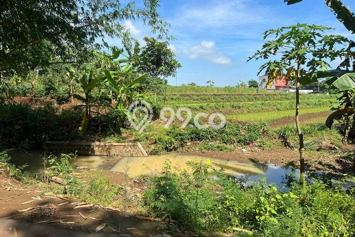 Tanah Kavling untuk Dijual di Kerjo Karanganyar 400m2 Tanah Kavling untuk Dijual di Kerjo Karanganyar 400m2