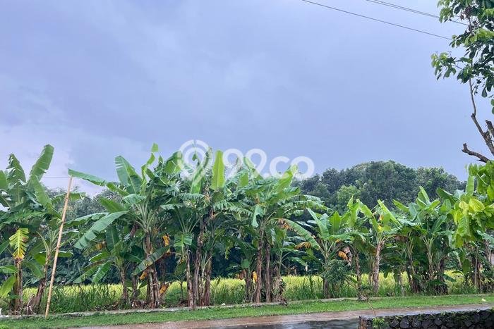 Lahan Investasi Lokasi Mojogedang Karanganyar SHM Lahan Investasi Lokasi Mojogedang Karanganyar SHM