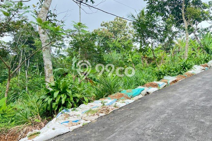 Kavling Tanah Dijual di Ngargoyoso Karanganyar Spesifikasi 2000m2 Kavling Tanah Dijual di Ngargoyoso Karanganyar Spesifikasi 2000m2