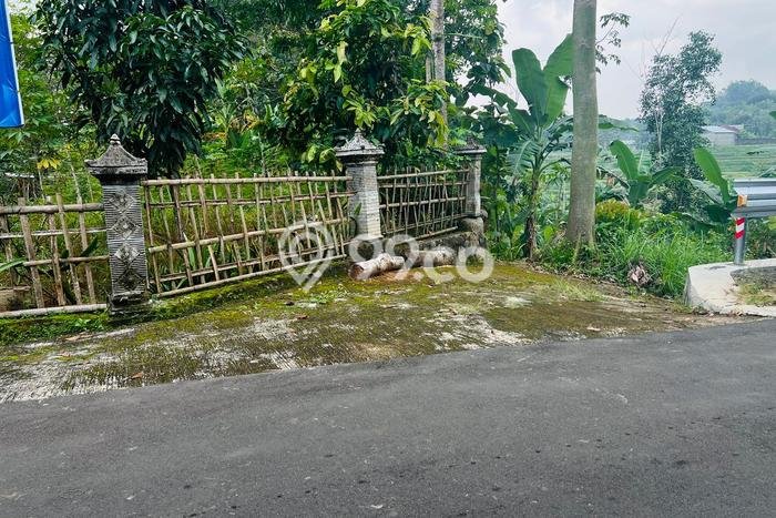 Tanah Strategis Dijual di Mojogedang Karanganyar 1723m2 Tanah Strategis Dijual di Mojogedang Karanganyar 1723m2