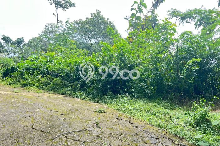 Kavling Tanah di Ngargoyoso Dijual Luas 2165m2 Legalitas SHM Kavling Tanah di Ngargoyoso Dijual Luas 2165m2 Legalitas SHM