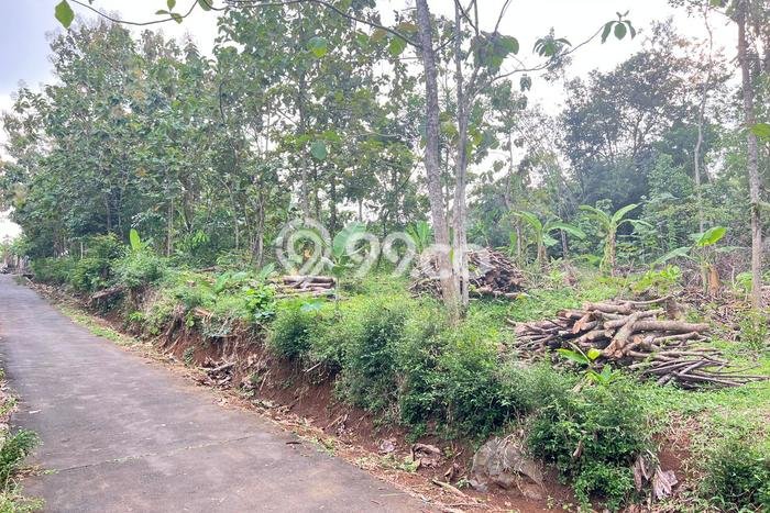 Tanah Dijual Lokasi Mojogedang Karanganyar - Tanah Dijual Lokasi Mojogedang Karanganyar -