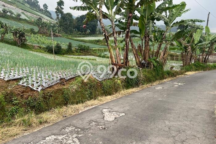Tanah di Ngargoyoso, Luas 480m², Area Potensial, Lingkungan Nyaman, Kontur Datar Tanah di Ngargoyoso, Luas 480m², Area Potensial, Lingkungan Nyaman, Kontur Datar