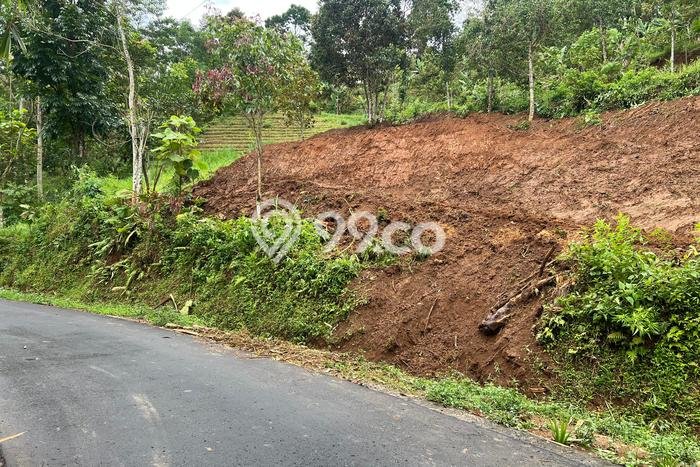 Tanah Area Prospektif di Ngargoyoso, Luas 1200m2m², Akses ke Pusat Kota Tanah Area Prospektif di Ngargoyoso, Luas 1200m2m², Akses ke Pusat Kota
