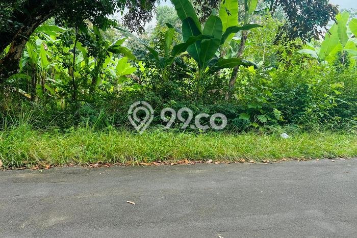 Tanah Komersial Dijual di Mojogedang Karanganyar 1000m2 Tanah Komersial Dijual di Mojogedang Karanganyar 1000m2