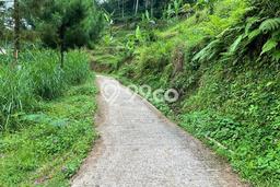 Tanah di Ngargoyoso, Luas 748m2m², Area Potensial, Dekat Ngargoyoso, Karanganyar, Karanganyar Tanah di Ngargoyoso, Luas 748m2m², Area Potensial, Dekat Ngargoyoso, Karanganyar, Karanganyar